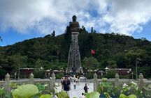 Private Tour: Victoria Peak & Lantau Big Buddha (same day)