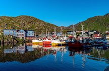 North Cape Sightseeing: Local Villages, Sami Culture, King Crabs!