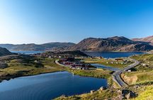 North Cape Sightseeing: Local Villages, Sami Culture, King Crabs!