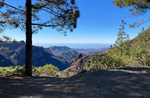 Gran Canaria excursion to Roque Nublo
