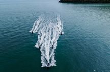 1.5 Hour Cairns JetSki Coastline Tour to Palm Cove