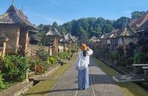 Bali Besakih Temple, Penglipuran with Rice Terrace and Waterfall