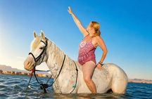 Swimming with Horses in Hurghada | Beach & Desert Adventure