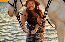 Swimming with Horses in Hurghada | Beach & Desert Adventure