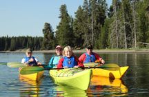 Yellowstone Lake & Hot Springs / 3 Hour Morning or Twilight Tour