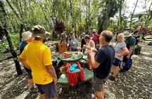 Organic Farm Tour, Tropical Fruit Tasting & Cooking Class