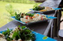 Organic Farm Tour, Tropical Fruit Tasting & Cooking Class