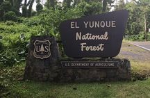The Royal Rainforest An Exclusive Extreme Experience El Yunque
