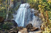 The Royal Rainforest An Exclusive Extreme Experience El Yunque
