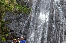 The Royal Rainforest An Exclusive Extreme Experience El Yunque