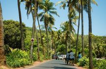 Hidden Villages of North Goa Private Tour