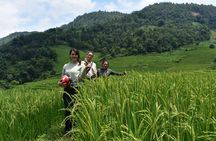 1 Day Motorbike Adventure in Sapa Valley