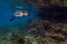 Roatan Private and Public Snorkel Tours at West Bay Beach