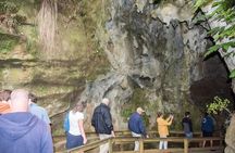 Glowworm Caves & Waterfalls Guided Tour in Bay of Islands