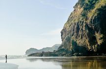 Private Tour of Auckland's West Coast - On the edge of wilderness