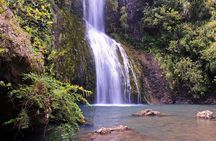 Private Tour of Auckland's West Coast - On the edge of wilderness