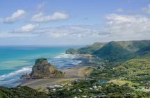 Private Tour of Auckland's West Coast - On the edge of wilderness