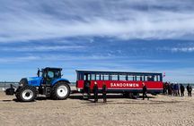 Skagen Private Half Day Tour from Cruise Port