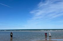 Skagen Private Half Day Tour from Cruise Port