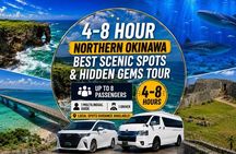 Northern Okinawa Scenic & Hidden Gems Tour 1–8 Guests（4-8H)