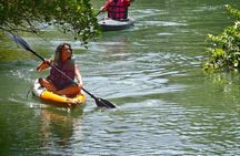 Phuket Mangrove Kayak Eco Tour at Thalang