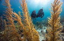 Key Largo Florida Scuba Activity