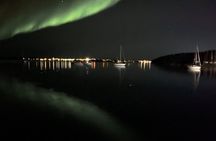 Aurora Hunting Tour in Yellowknife — Shared Bus