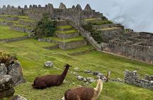 Machu Picchu Small Group Full Day Tour from Cusco by Train