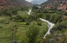 Private Tour to Ourika Waterfalls, Atlas Mountains & River Lunch