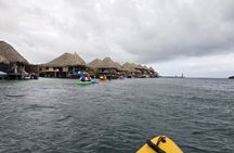 Sea Glass Island Kayak Tour Aruba in Morning or Midday