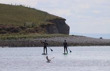 Galway City Paddleboarding Free Roam