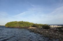 Kayak and Snorkel Tour at Mangel Halto Aruba