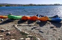 Kayak and Snorkel Tour at Mangel Halto Aruba
