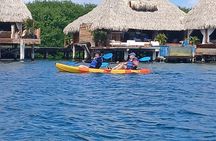 Kayak and Snorkel Tour at Mangel Halto Aruba