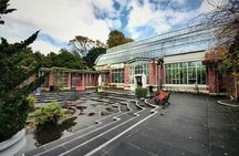 Private Tour - An intro to Auckland - The lay of the land
