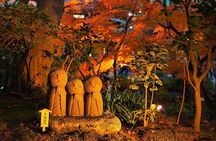 Hidden Kamakura Hike Zen Temples Bamboo Forest and Great Buddha
