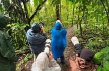 Birding and Photography Tour