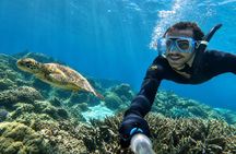 West Maui Snorkel with Photos and Videos: Turtle Guarantee
