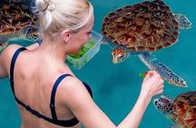 Zanzibar: Salaam Cave swim with turtle & Mtende Beach Experience