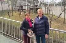 Xi'an Private Day Tour Panda Qizai and Terracotta Warriors