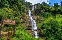 Kandy Nuwaraeliya Tour and Ella Train Journey from Nanuoya
