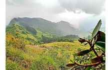 Kandy Nuwaraeliya Tour and Ella Train Journey from Nanuoya