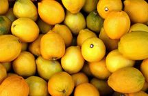 Private Menton: Snaps & Snacks in the Lemon Capital