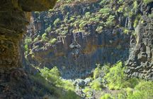 Abseiling Adventure in Volcanic Ravine in Tenerife for Beginners