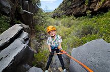 Abseiling Adventure in Volcanic Ravine in Tenerife for Beginners