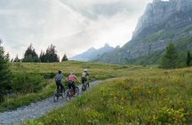 Chamonix: Mont-Blanc Panorama E-bike Tour (Beginner)