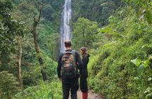 Day Trip Coffee Tour and Materuni Waterfalls
