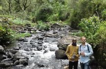 Day Trip Coffee Tour and Materuni Waterfalls