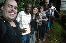 Day Trip Coffee Tour and Materuni Waterfalls