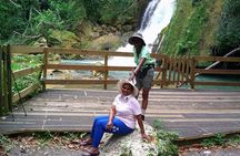 South Coast Tour- YS Falls, Black River Safari, Appleton Rum